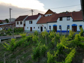 Vinný sklep Kraví Hora Bořetice, Bořetice